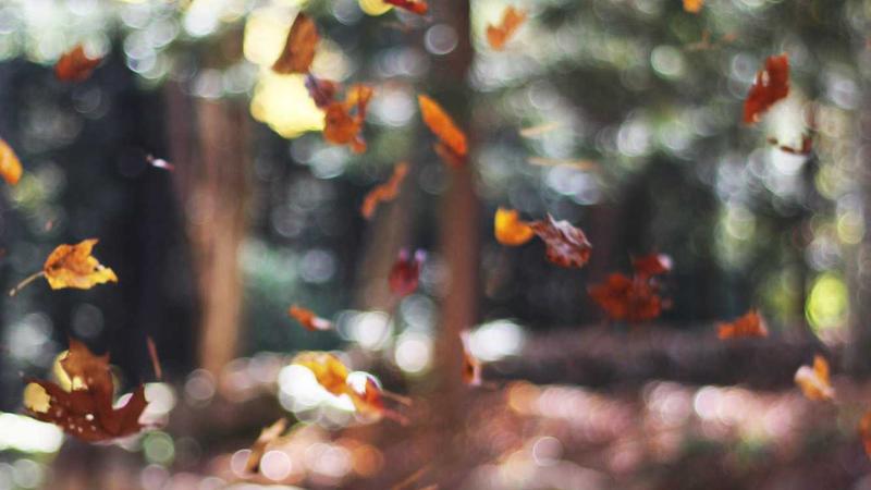 教你做正宗水煮鱼，味道一绝