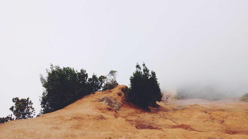 Docker + Linux：打造现代化开发工作流