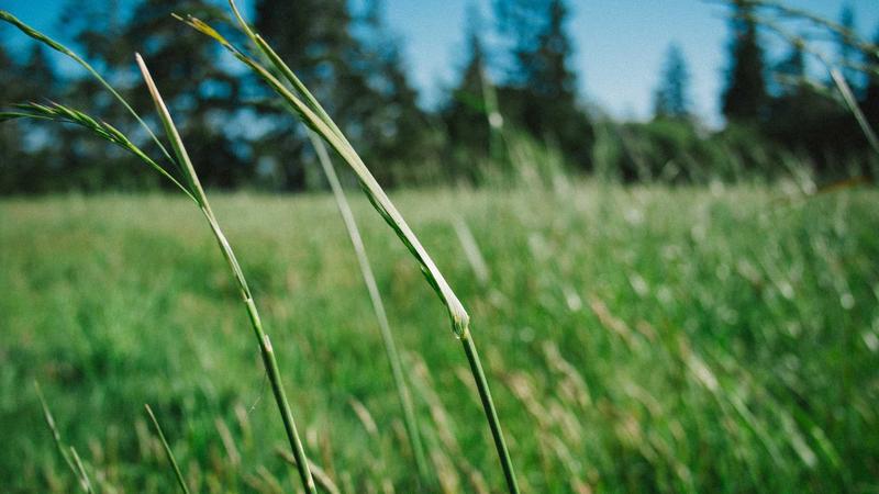 揭秘用户体验设计背后的黑科技原理