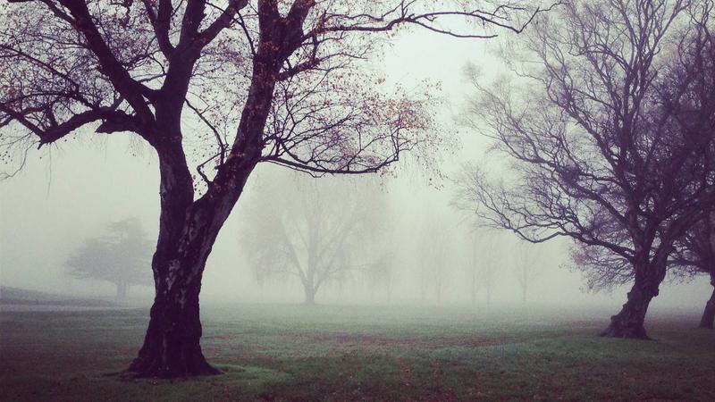 Vue.js源码解析：核心模块实现原理