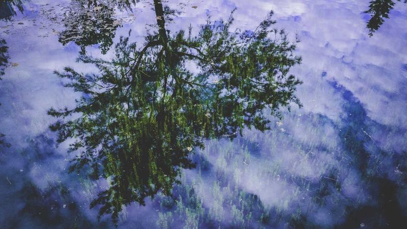 数据治理方案行业趋势分析：未来将走向何方？