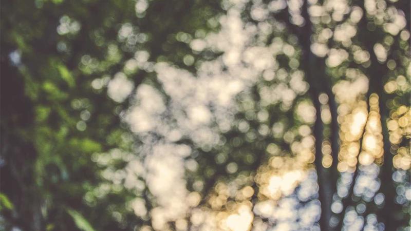 带着相机去日本京都：摄影路线全记录