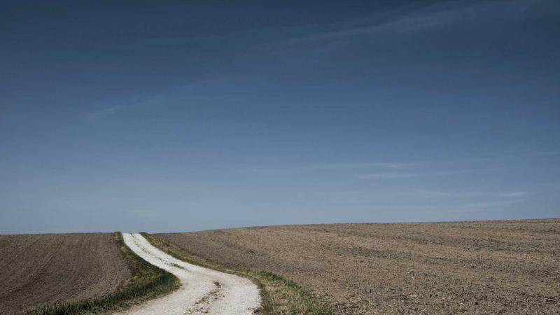 这道麻婆豆腐火了，赶紧学起来！