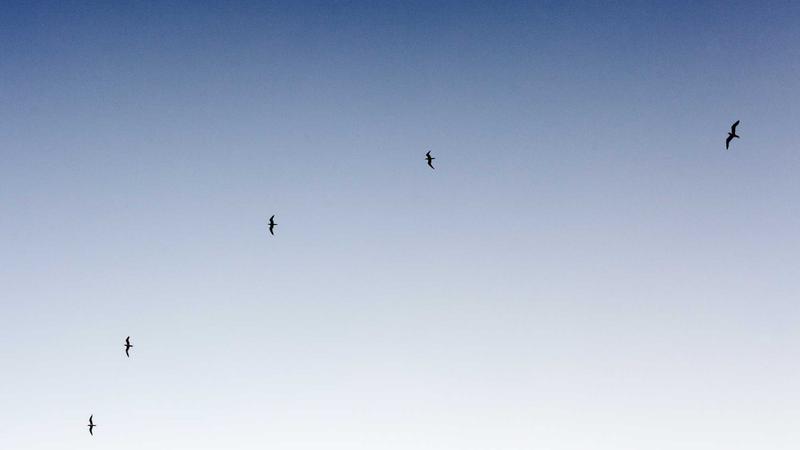 三亚海滩住宿体验：从青旅到民宿的真实测评