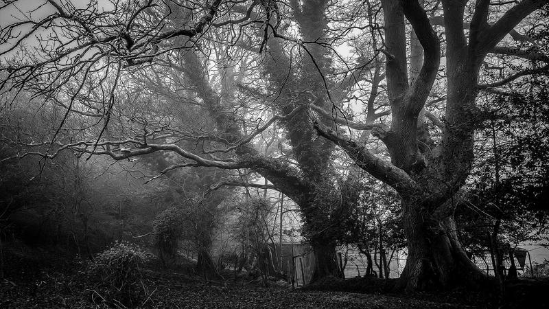 读《围城》：一场关于价值观念塑造的心灵之旅